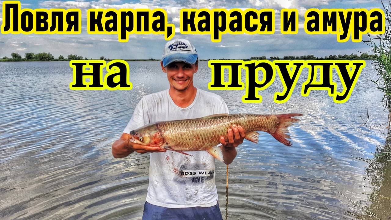 Рыбалка в камчатском крае - читайте на сatcher.fish