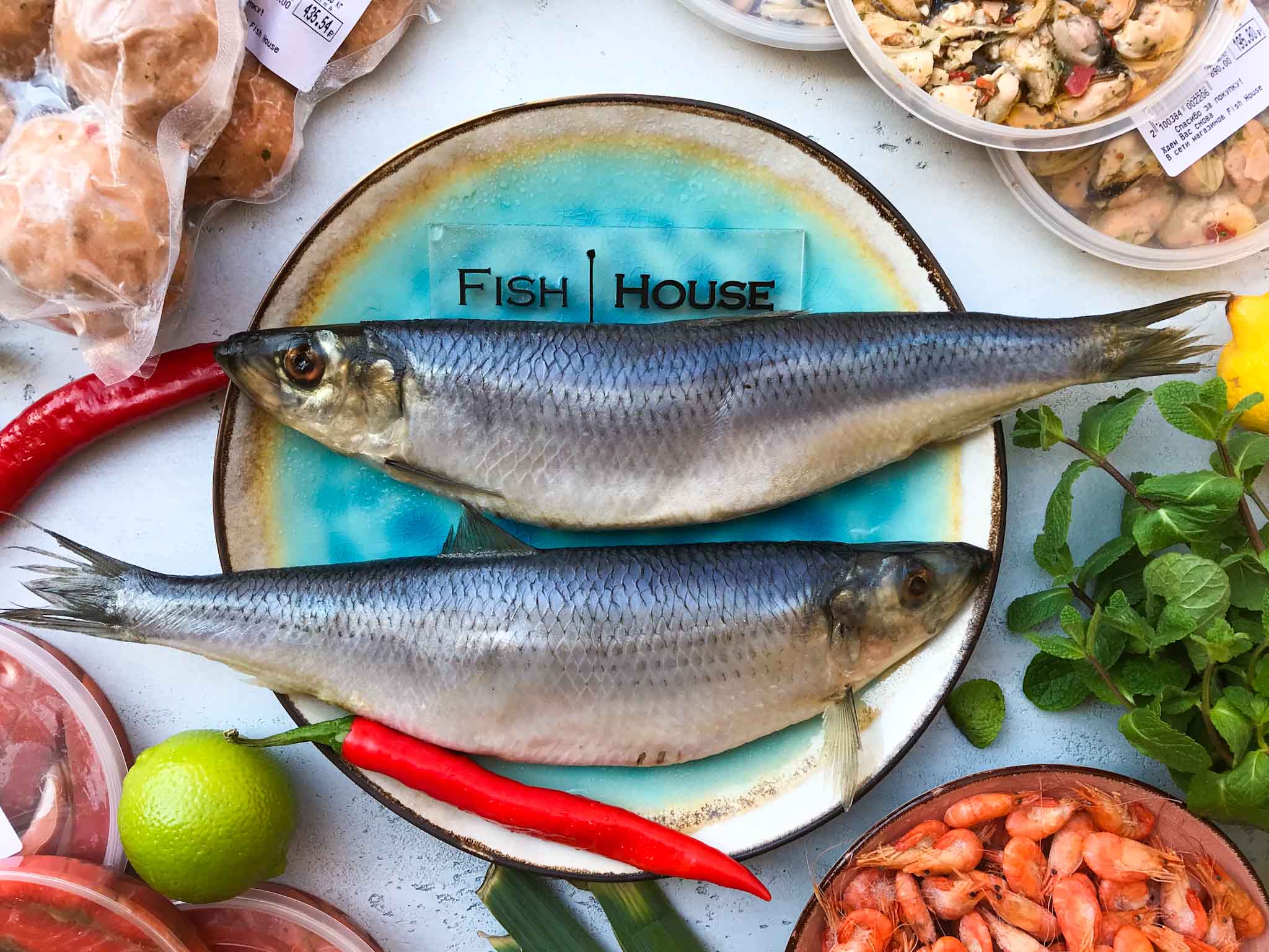 Сельдь атлантическая фото и описание – каталог рыб, смотреть онлайн
