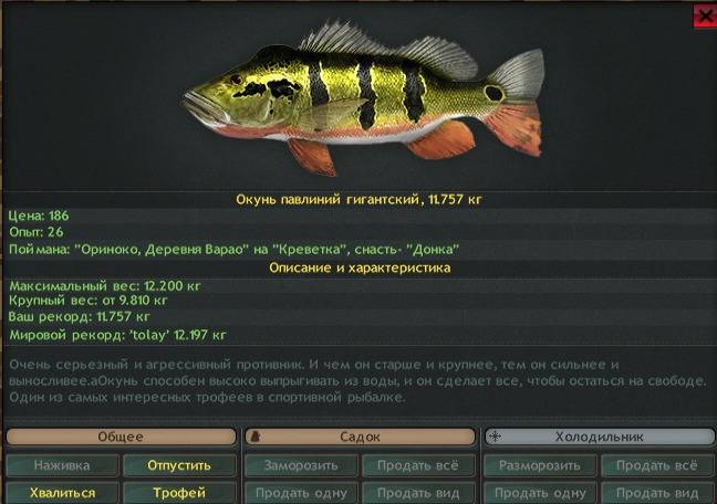 Рыба «павлиний окунь королевский» фото и описание
