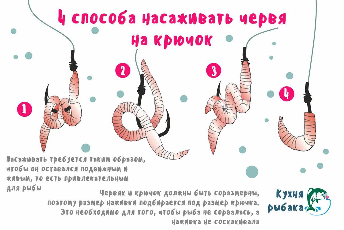 Как правильно насаживать червя на крючок? особенности и способы насаживания - суперулов - интернет-портал о рыбалке