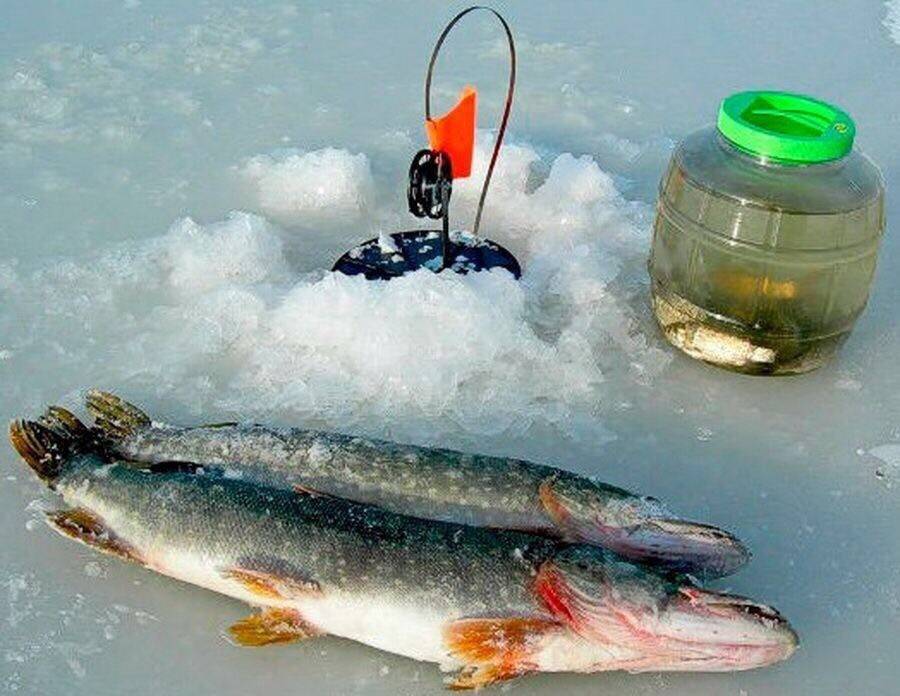 Снасти для зимней рыбалки: зимние удочки, леска, приманка