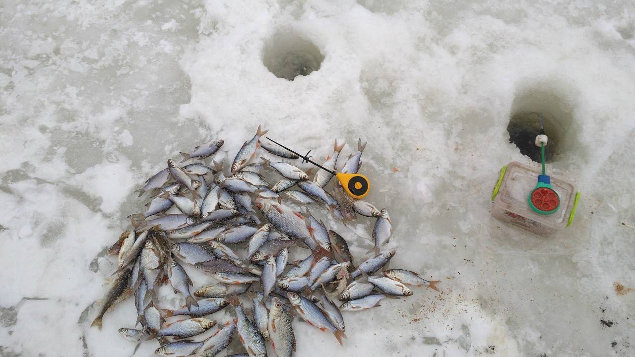 Ловля окуня на мормышку | пять лучших окуневых мормышек