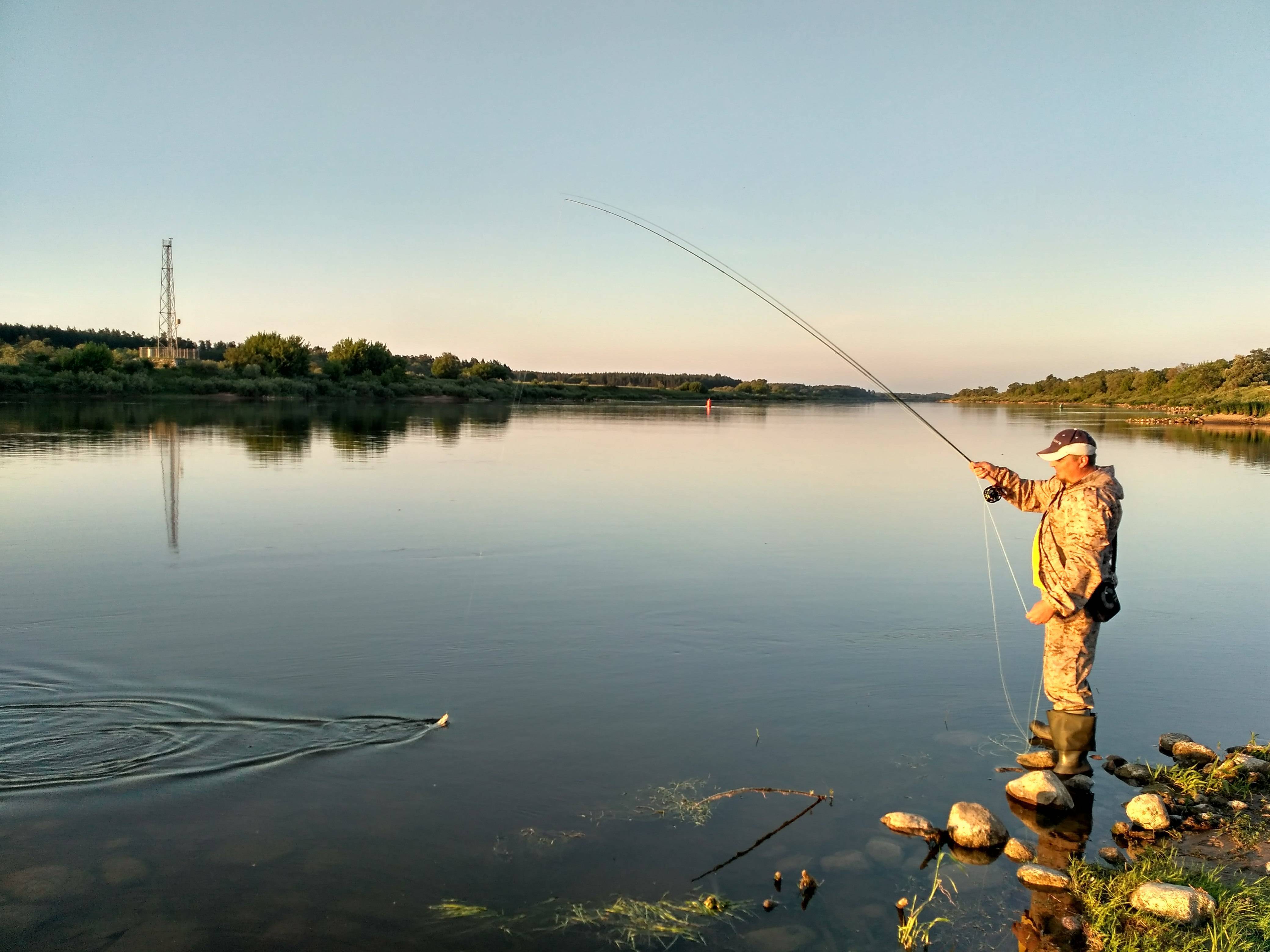 Рыбалка на платных озерах твери и тверской области – база отдыха с рыбалкой на волге «диана»