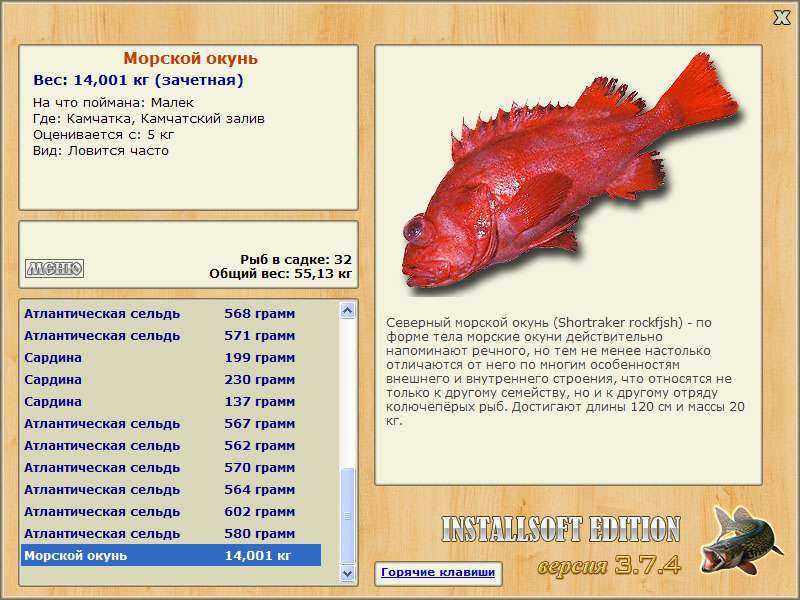 Морской окунь: польза и вред для организма, калорийность рыбы на 100 грамм