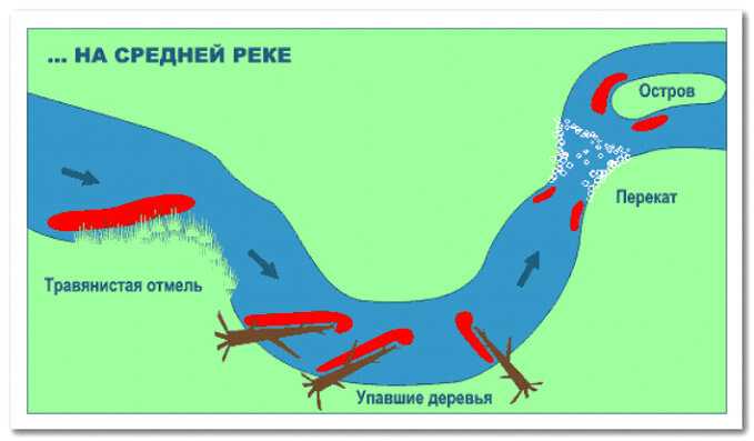 Рыбалка в подмосковье. лучшие места где можно порыбачить в московской области