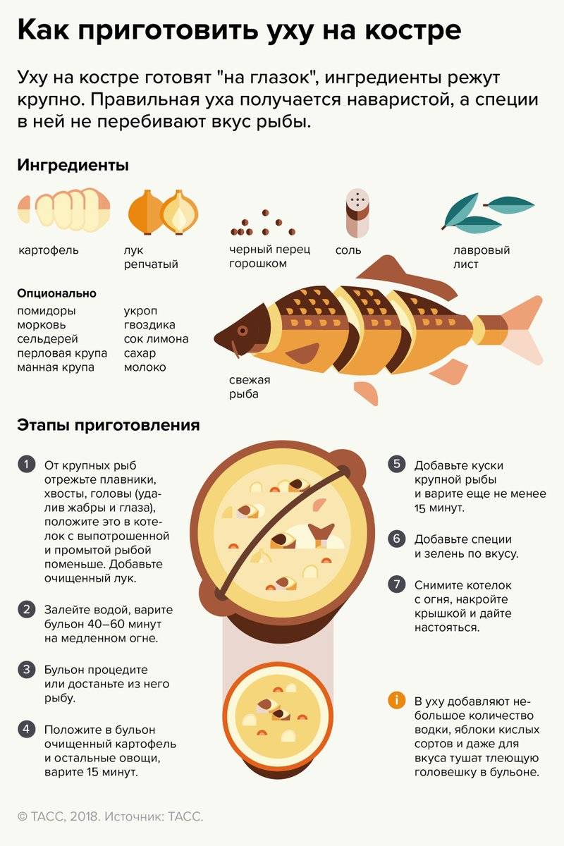 Как варить уху из речной и морской рыбы дома и на костре правильно