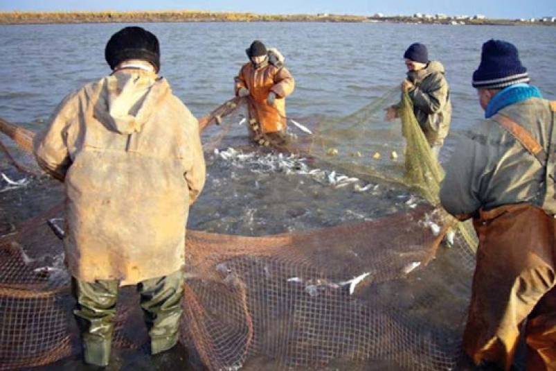 Рыбалка в камчатском крае