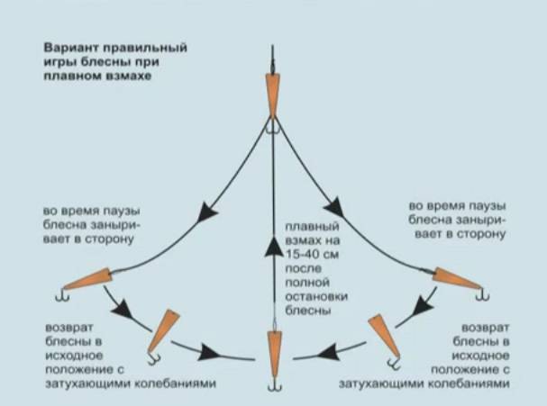 Блесны бокоплавы для зимней рыбалки – оснастка и техника ловли