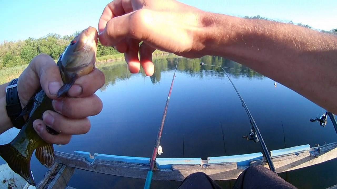 Ловля красноперки на удочку: как поймать красноперку на озере