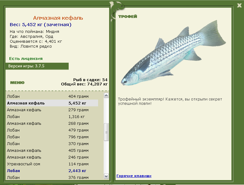 Рыба кефаль фото и описание | где водится и как выглядит