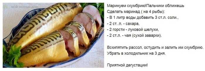 Польза и вред скумбрии, ее влияние на организм