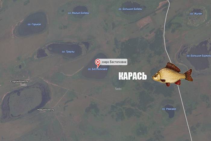 Карта рыболовных мест новосибирской области. описание и фото