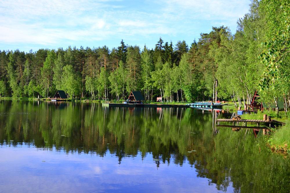 Рыбалка в ленинградской области: лучшие места на карте топ-10