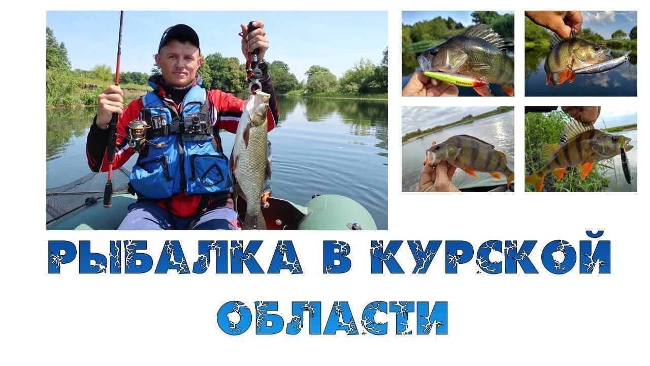 12 лучших рыболовных мест курской области – рыбалке.нет