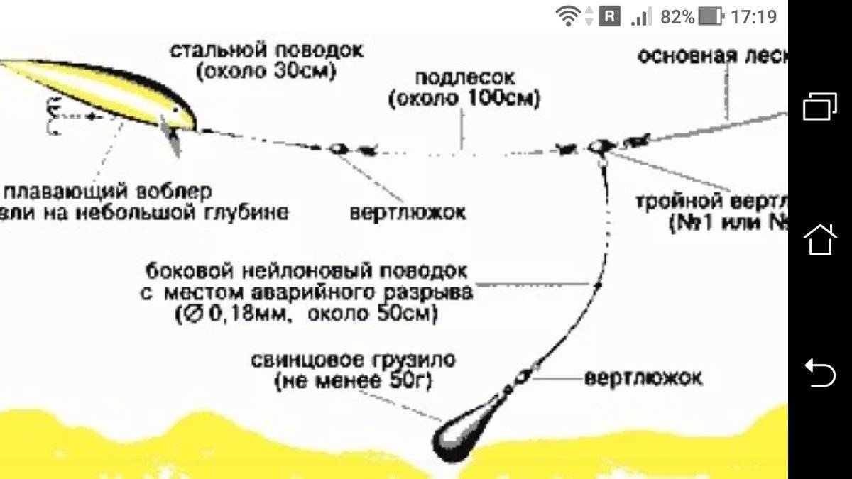 Как ловить на блесну с берега