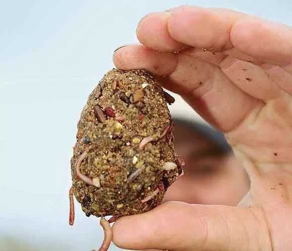 Особенности ловли линя — где, как и на что ловить