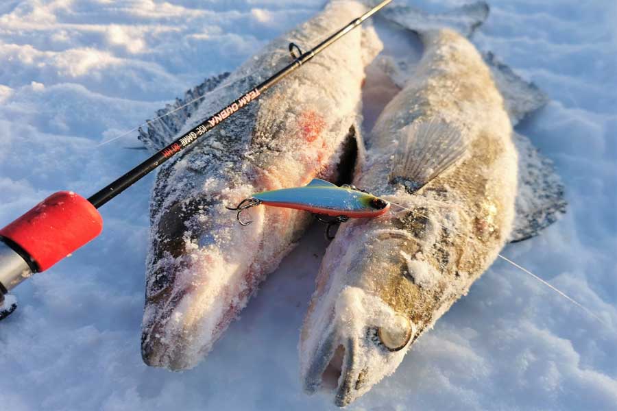 Как ловить рыбу в глухозимье — места, снасти и приманки