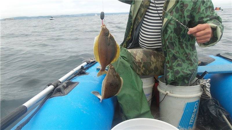 ✅ снасть для ловли камбалы с берега - рыбзон.рф