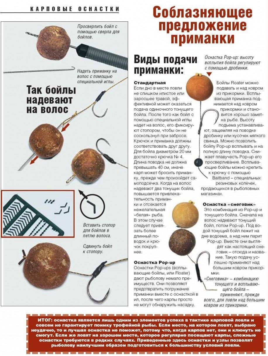 Бойлы на карпа своими руками: этапы изготовления и рецепты