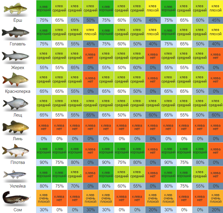 Голавль: описание, образ жизни рыбы, места обитания (речной, озерный)