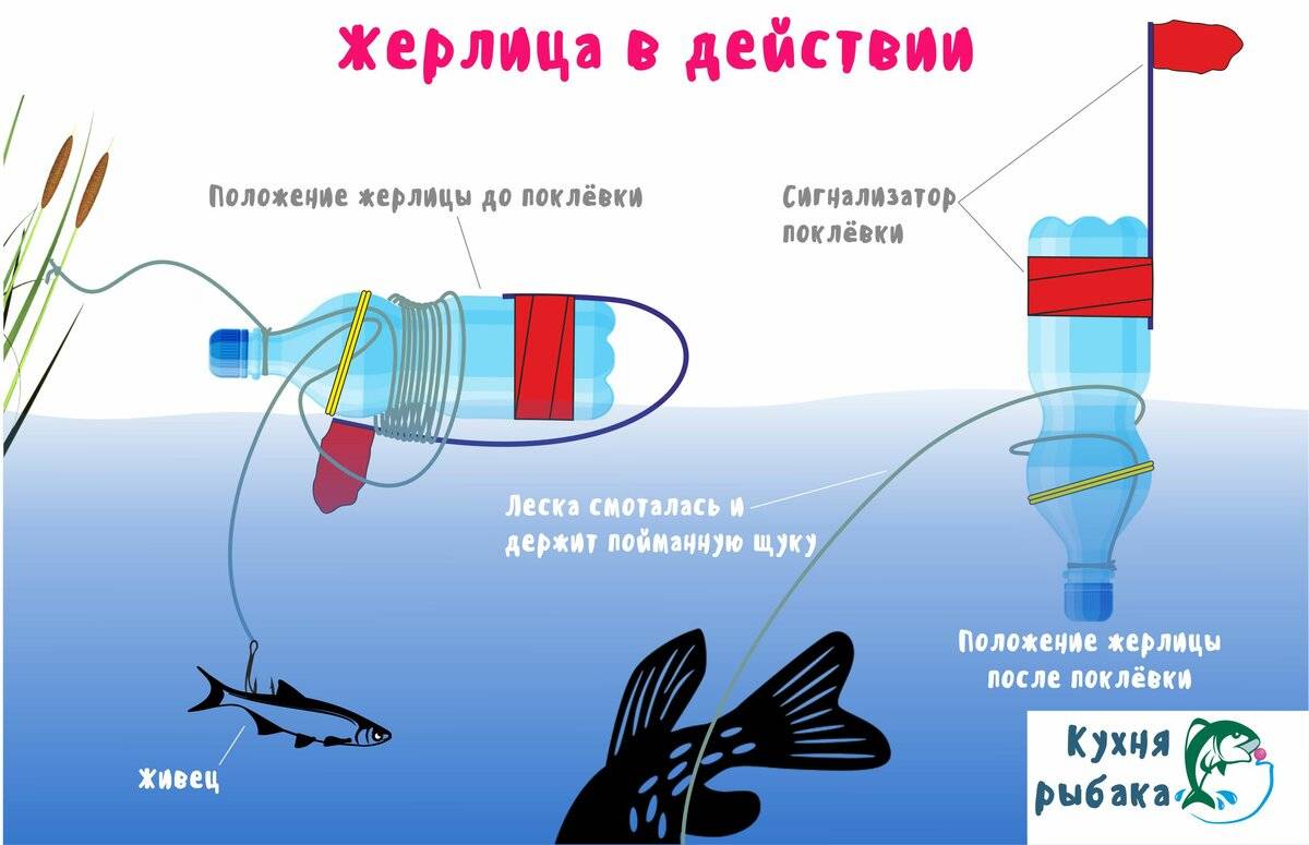 Ловля щуки зимой на жерлицы - жерлица на щуку, оснастка и монтаж