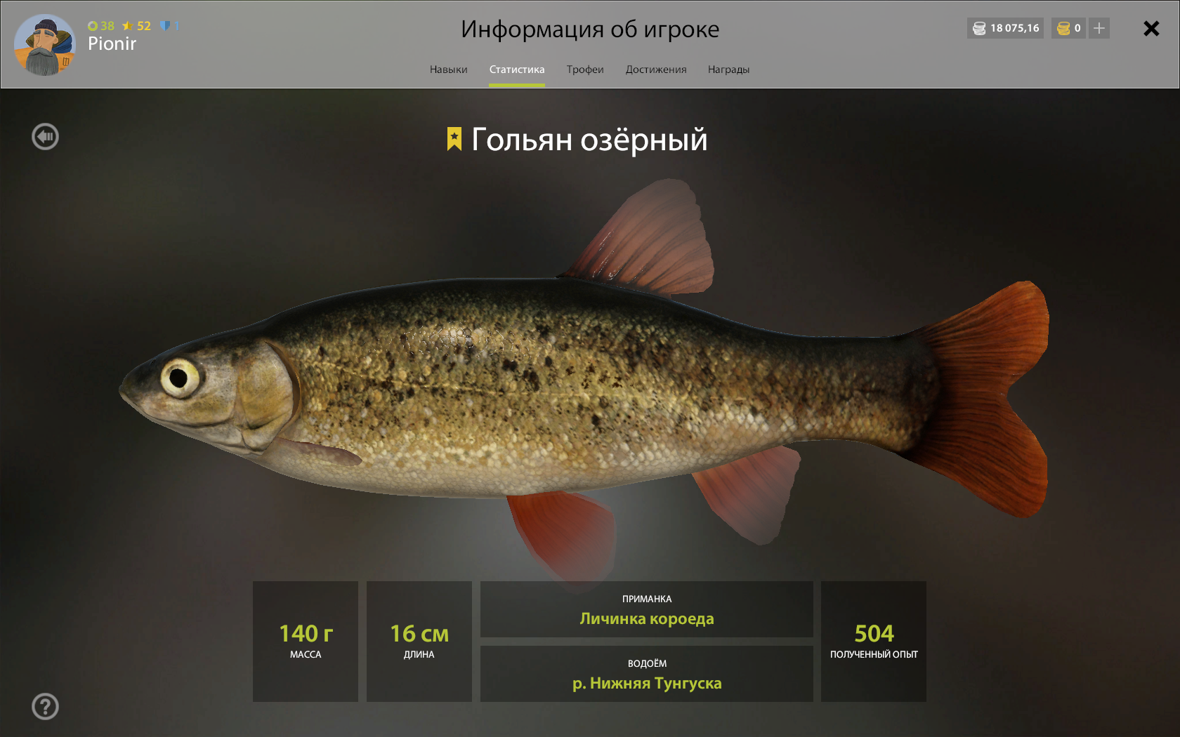 Рыба «Гольян» фото и описание