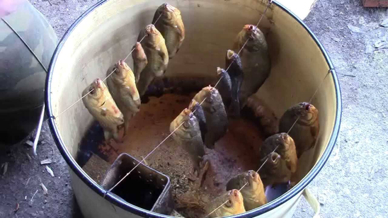 Копчение рыбы: рецепты копчения в коптильне в домашних условиях
