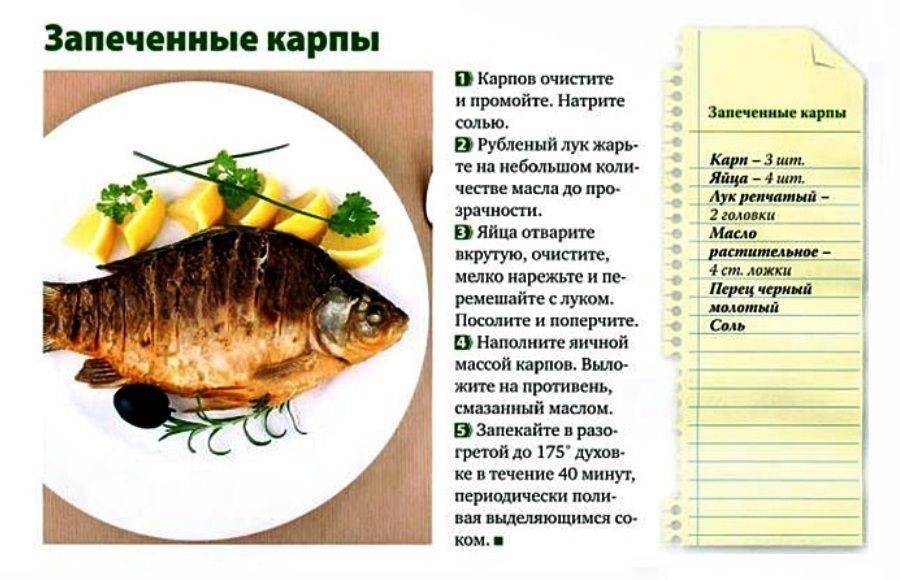 Карп жареный на сковороде: 5 рецептов приготовления
