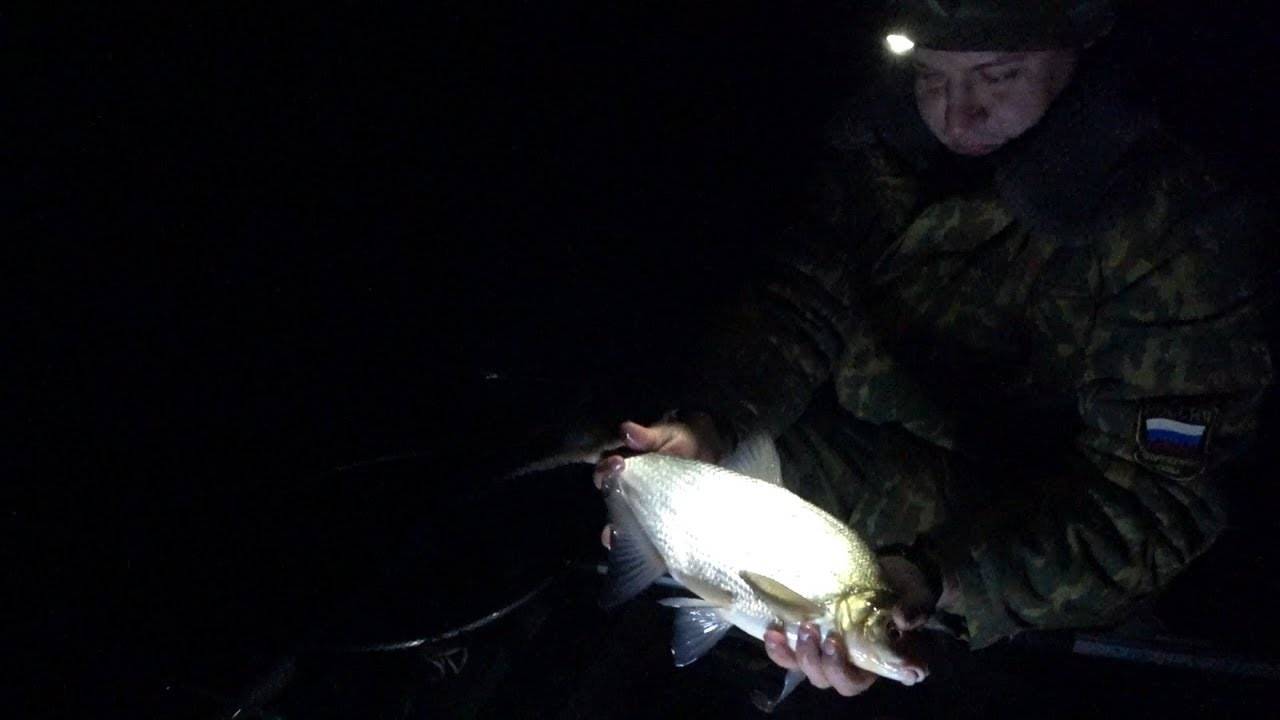 Ловля леща ночью: ночная рыбалка