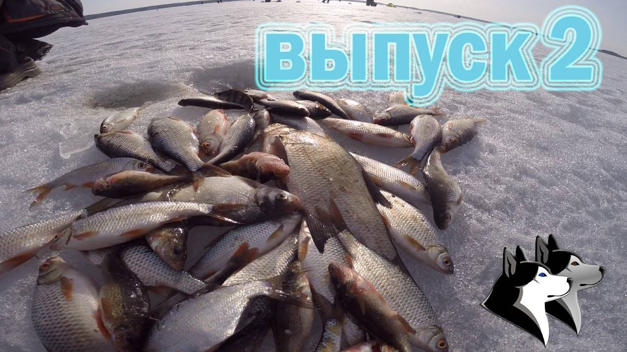 Летняя рыбалка на водохранилище — отдых и летняя рыбалка на яузском водохранилище