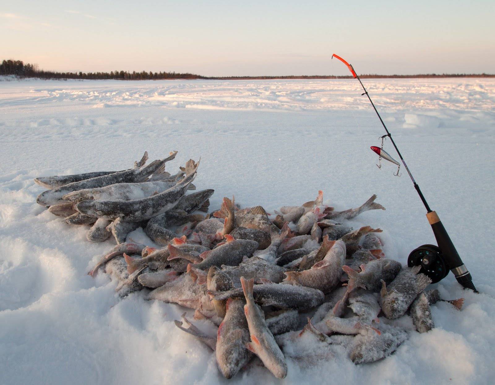 Рыбалка в оренбургской области: лучшие места на карте топ-10