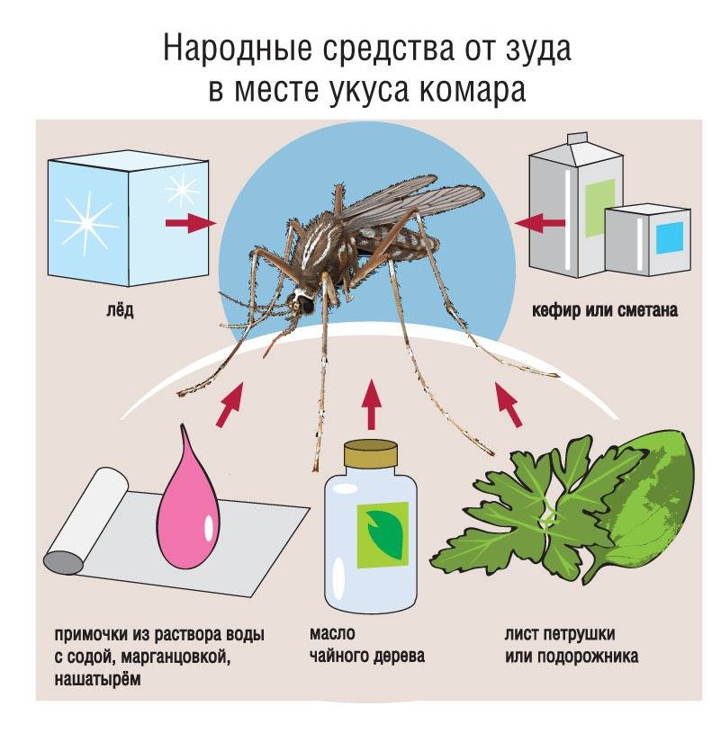 Приготовление средства от комаров в домашних условиях: 5 рецептов