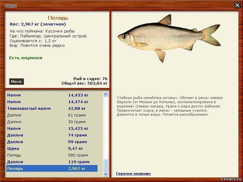 Все о рыбалке - читайте на сайте рыбхоз.полезные статьи