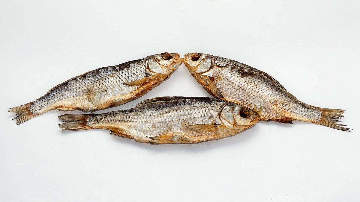 Рыба «лещ» фото и описание