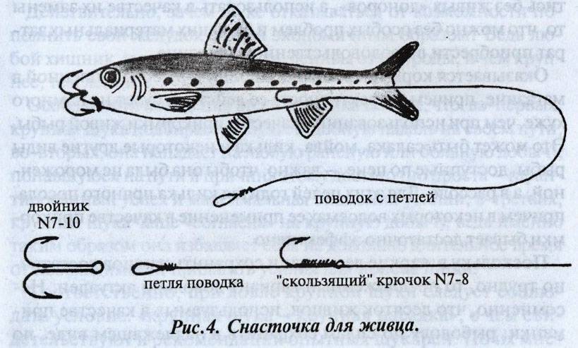Ловля щуки весной на спиннинг: топ весенних приманок на щуку