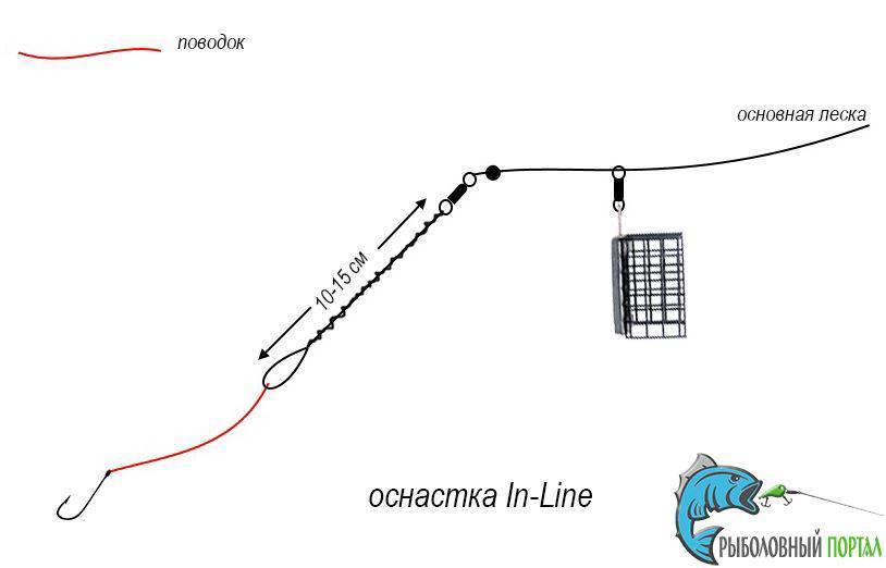 Лучшие карповые оснастки и монтажи для успешной ловли
