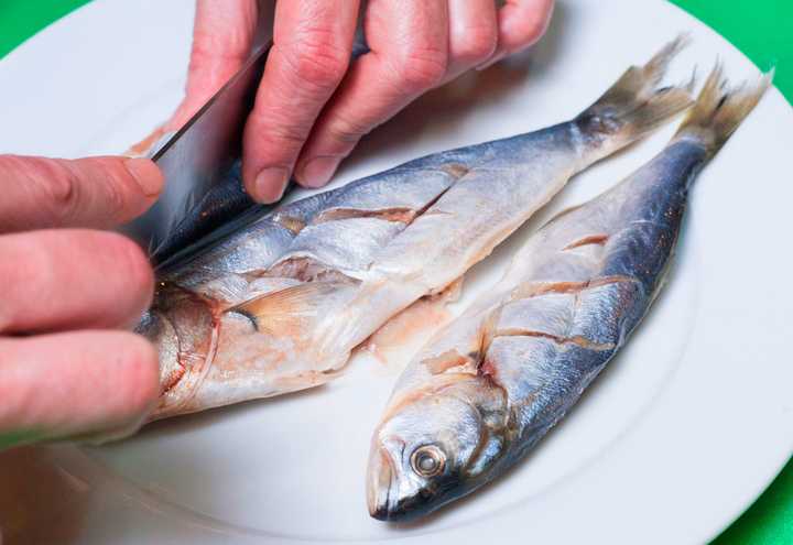 Рыба сайда — как готовить? 5 вкусных рецептов приготовления в духовке и на сковороде — приколись — смешные приколы — видео про животных, полезные истории, картинки о путешествиях