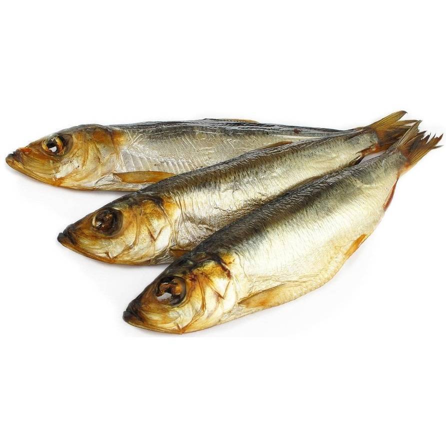Рыба «Салака» фото и описание