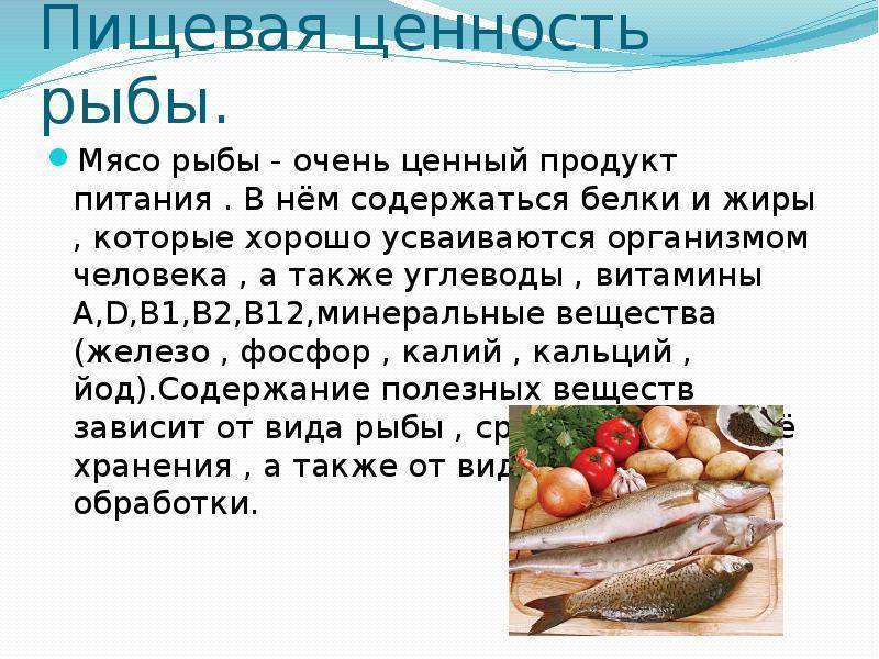 Форель жирная или нет. нежирные сорта рыбы для диеты и способы ее приготовления
