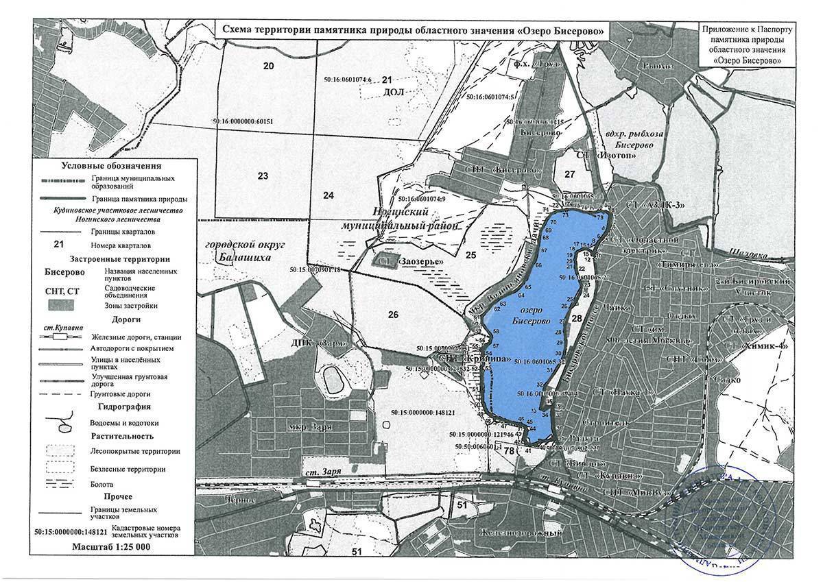 Бисерово озеро, московская область — рыбалка 2023, отдых, отзывы, фото, где находится, на карте, как доехать