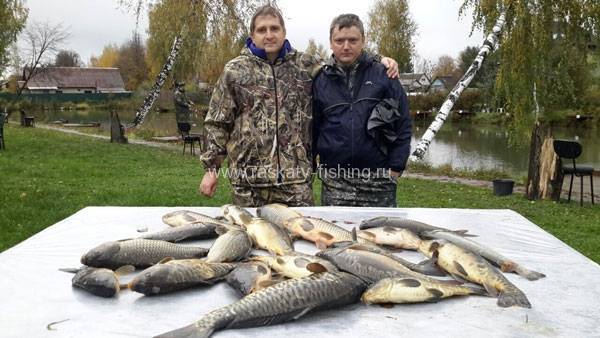 Рыбалка в одинцовском районе (раскаты, власово и другие рыболовные базы), какая рыба водится — читаем суть