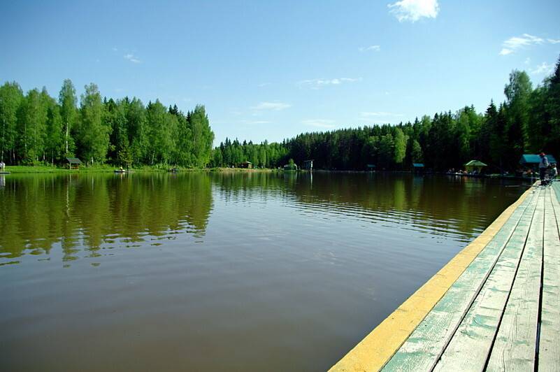 Рыбалка в хомяково