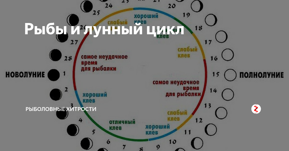 Как влияет атмосферное давление на клев и активность рыбы