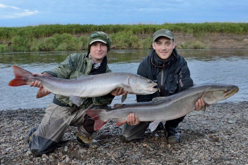 Реки мордовии: перечень, описание природных условий, фото