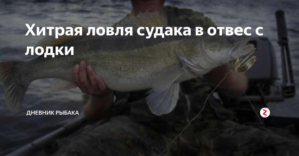 Ловля судака в отвес с лодки: какую снасть выбрать