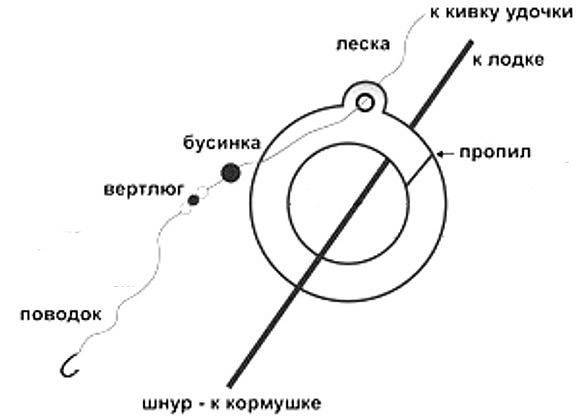 Как поймать леща на кольцовку