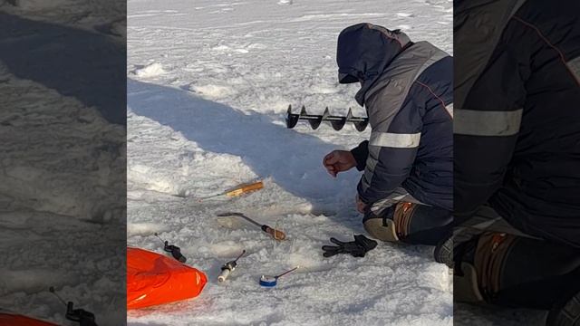 Ловля карпа зимой со льда — снасти и приманки для ловли