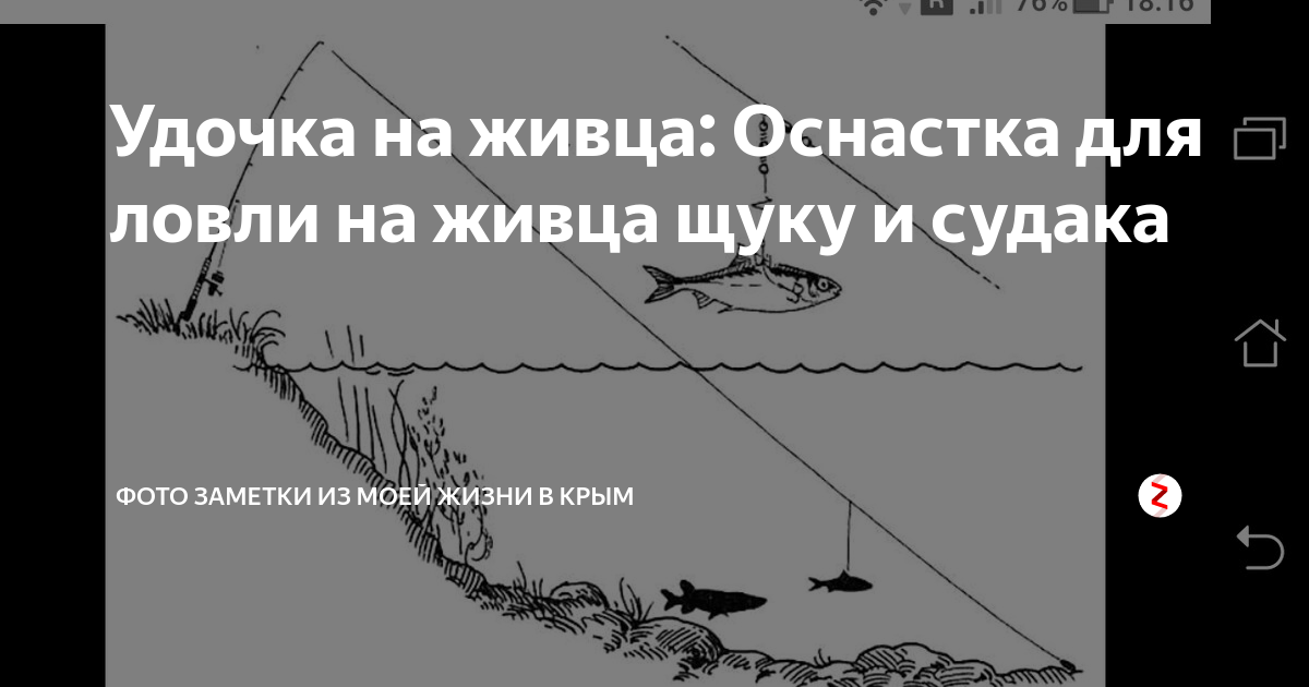 Как сделать донную снасть на судака и поймать хищника