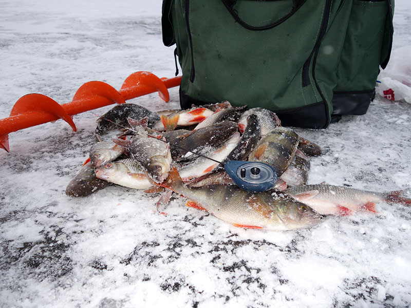 Рыбалка по первому льду – это особый праздник