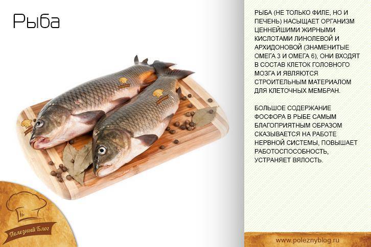 Рыба Лобань — как ловить и как готовить